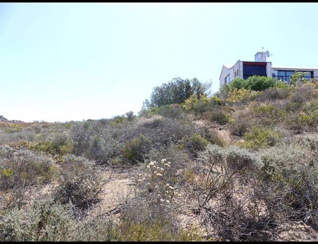 LAND FOR SALE IN BLUEBERRY HILL